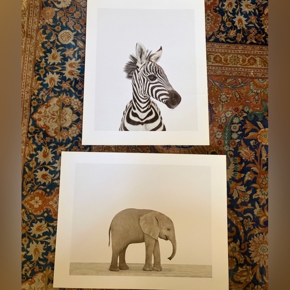 Two original prints by Sharon Montrose for The Animal Print Studio. 8.5 x 11 - Picture 2 of 12